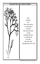 seaweed clay facial scrub