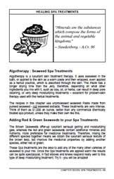 homemade seaweed Clay Scrub Recipe