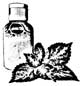 Seaweed splash toner